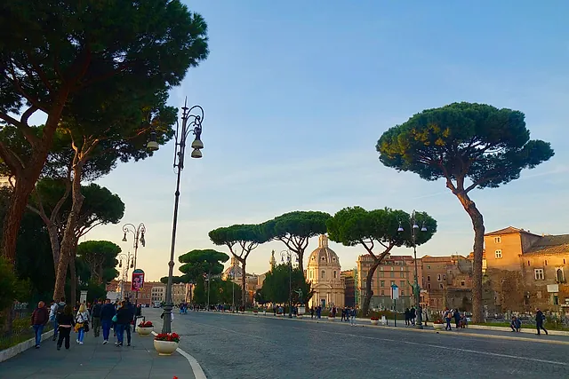Via dei Fori Imperiali, the avenue lined with umbrella pines that runs past the Imperial Forums